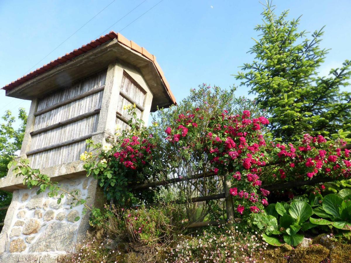 Casa Da Eira Velha Villa Vale de Cambra Dış mekan fotoğraf