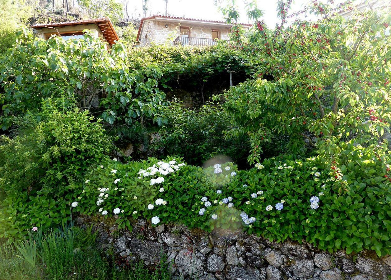 Casa Da Eira Velha Villa Vale de Cambra Dış mekan fotoğraf